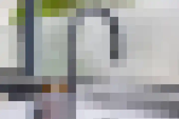 Aburahout 26 Zoetermeer thumbnail 17