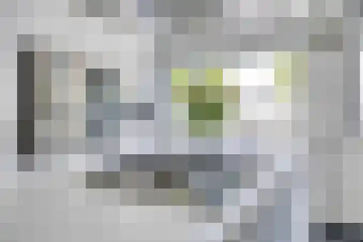 Aburahout 26 Zoetermeer thumbnail 19