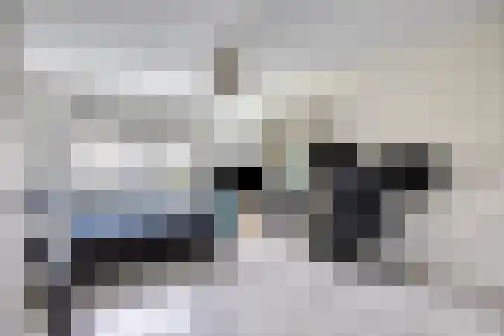 Aburahout 26 Zoetermeer thumbnail 21