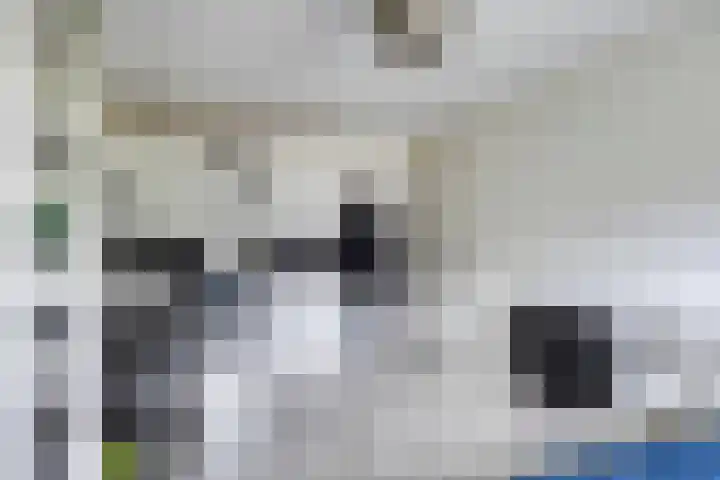 Aburahout 26 Zoetermeer thumbnail 22