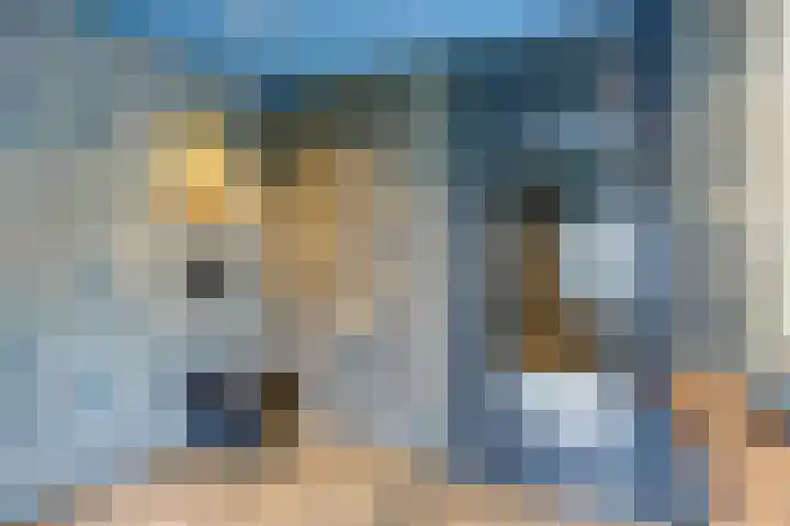 Aburahout 26 Zoetermeer thumbnail 24
