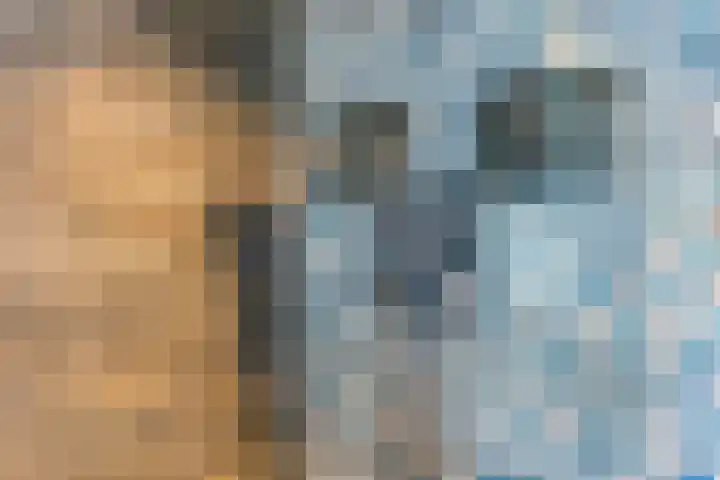 Aburahout 26 Zoetermeer thumbnail 25