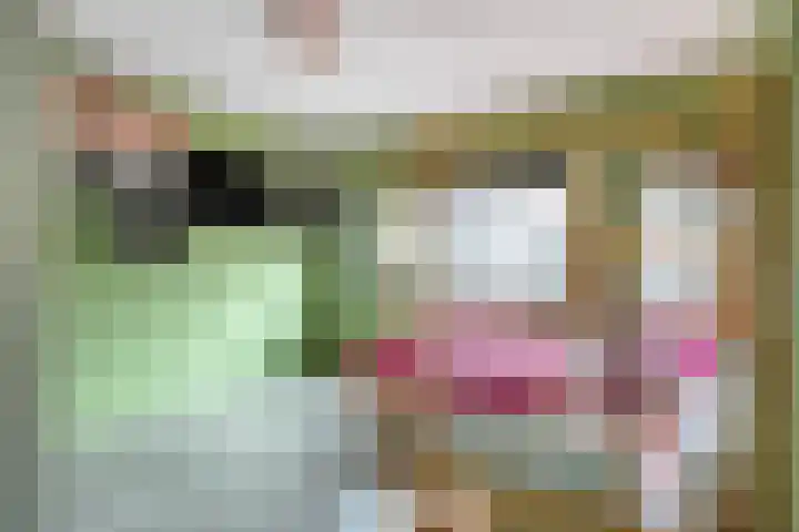 Aburahout 26 Zoetermeer thumbnail 27