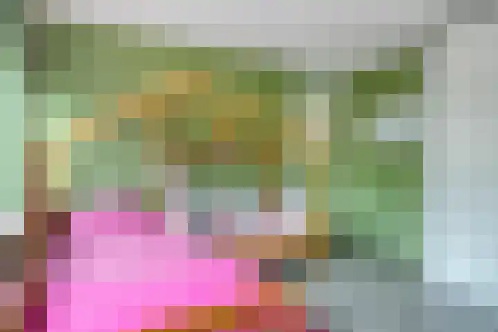 Aburahout 26 Zoetermeer thumbnail 28