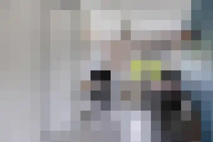 Aburahout 26 Zoetermeer thumbnail 29