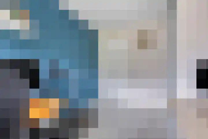 Aburahout 26 Zoetermeer thumbnail 30