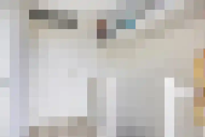Aburahout 26 Zoetermeer thumbnail 31