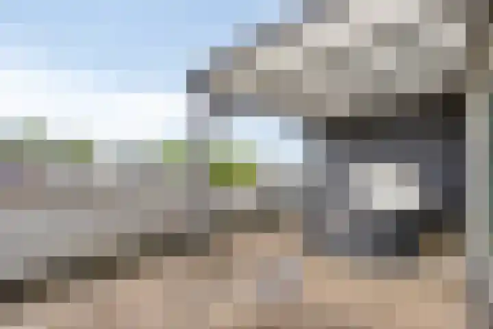 Aburahout 26 Zoetermeer thumbnail 36