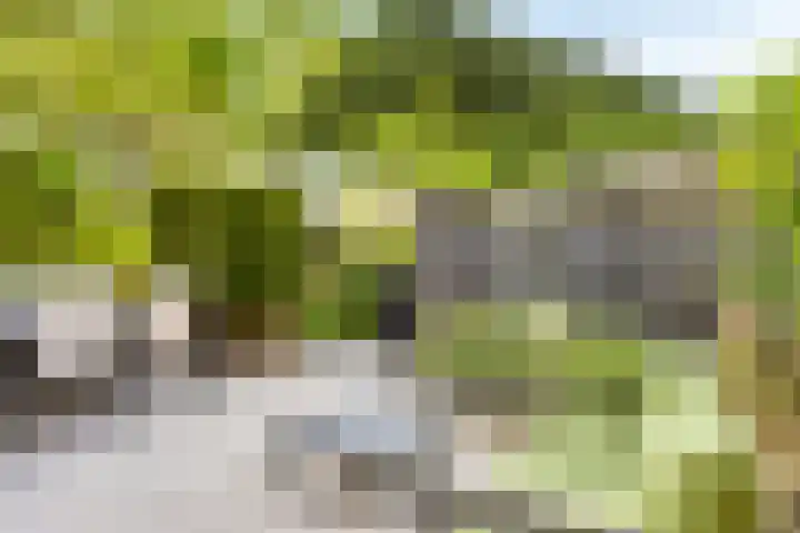 Aburahout 26 Zoetermeer thumbnail 38