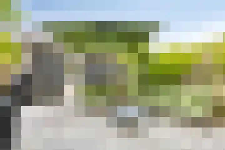 Aburahout 26 Zoetermeer thumbnail 39