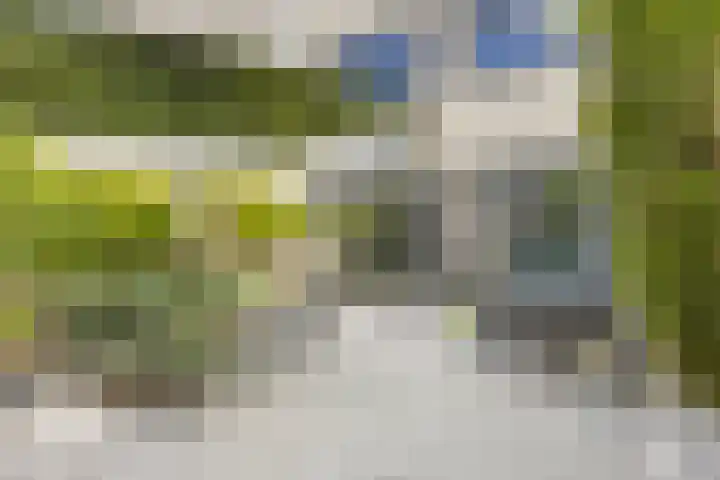 Aburahout 26 Zoetermeer thumbnail 40