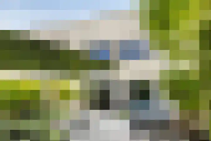 Aburahout 26 Zoetermeer thumbnail 41