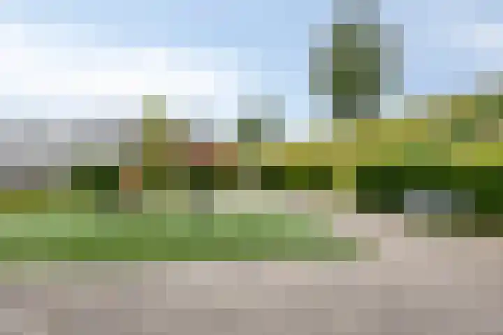 Aburahout 26 Zoetermeer thumbnail 42