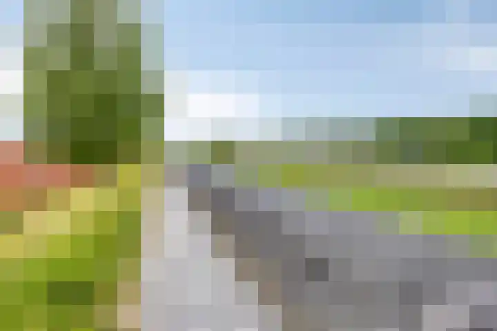 Aburahout 26 Zoetermeer thumbnail 43