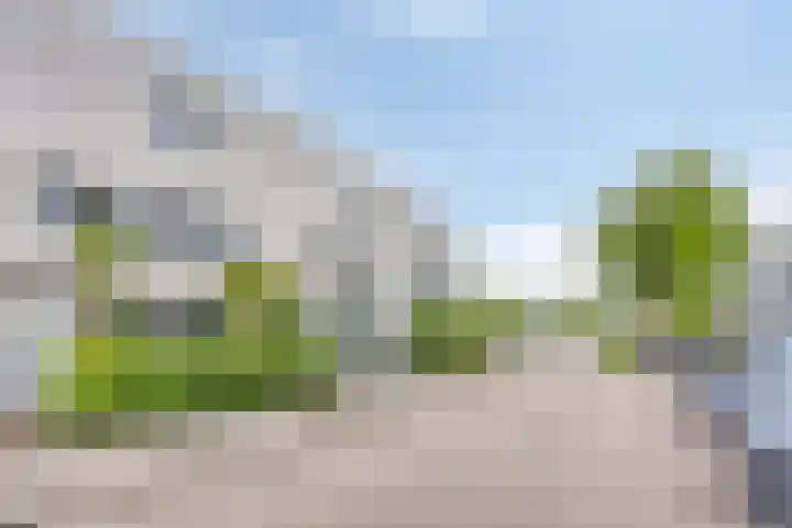 Aburahout 26 Zoetermeer thumbnail 48