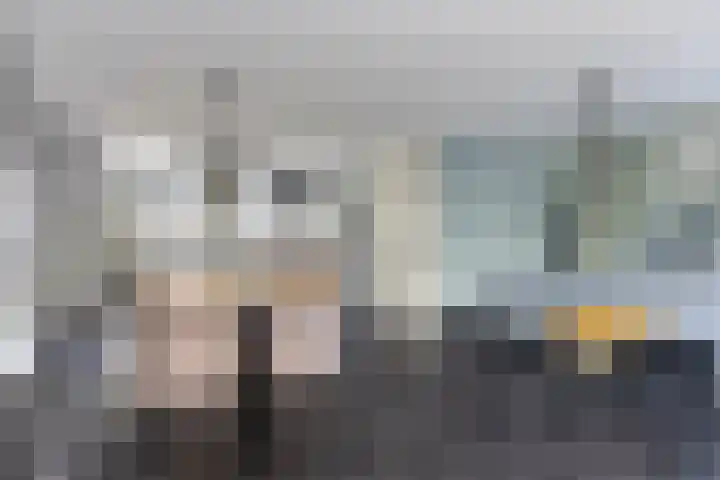 Aburahout 26 Zoetermeer thumbnail 8