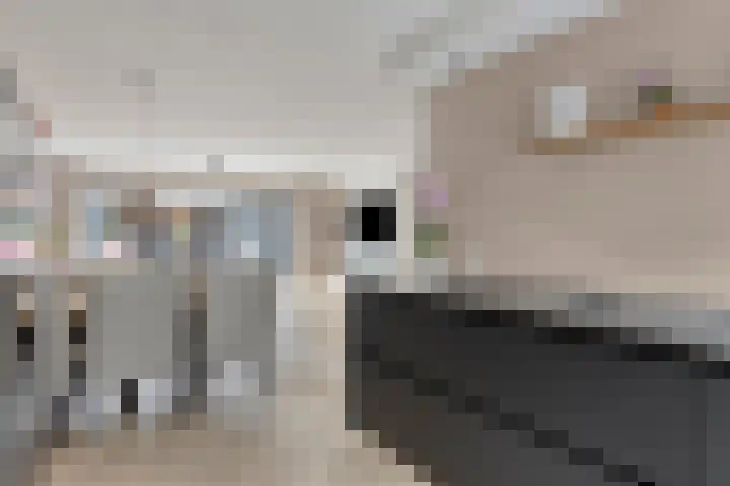 Aburahout 49 Zoetermeer thumbnail 17