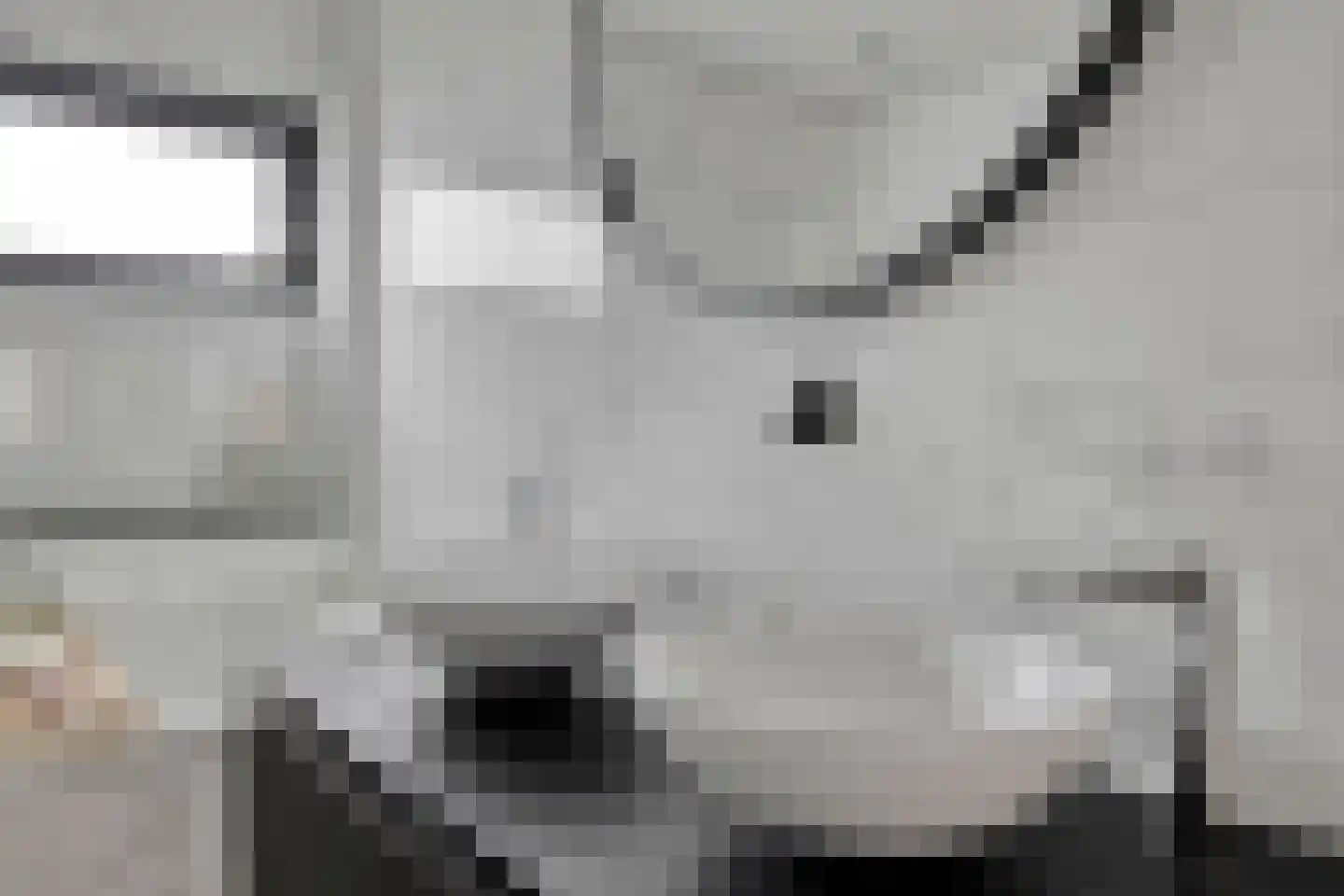Aburahout 49 Zoetermeer thumbnail 30