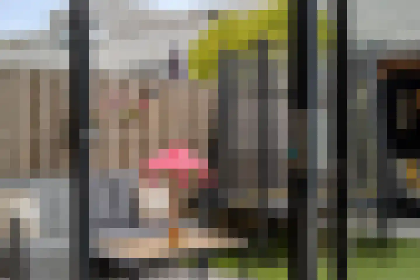 Aburahout 49 Zoetermeer thumbnail 40