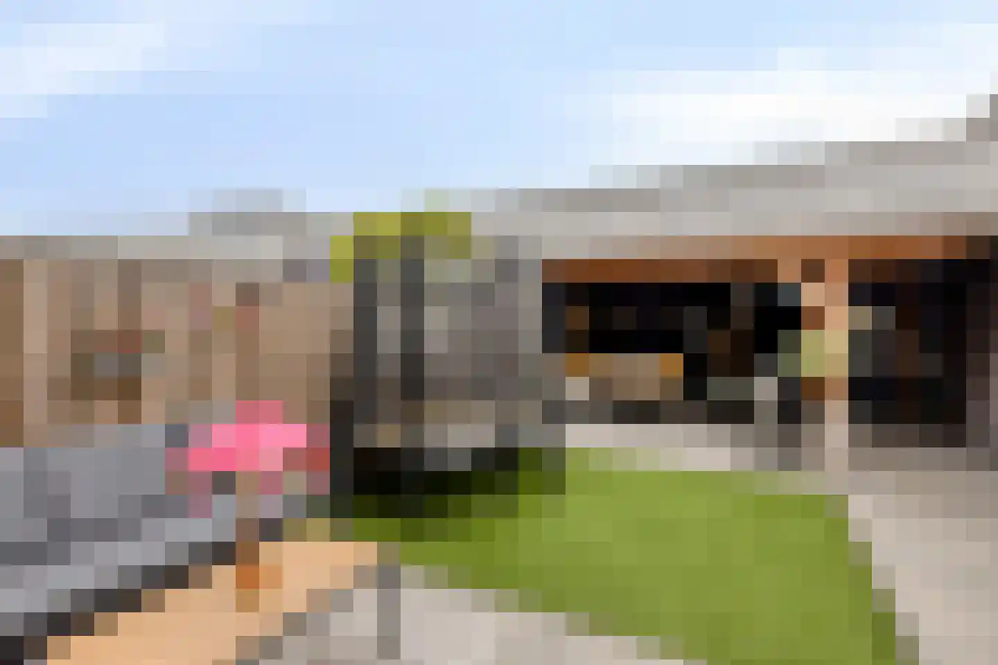 Aburahout 49 Zoetermeer thumbnail 41