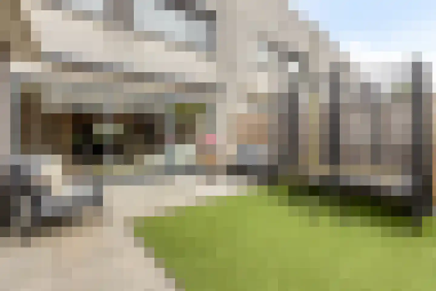 Aburahout 49 Zoetermeer thumbnail 43