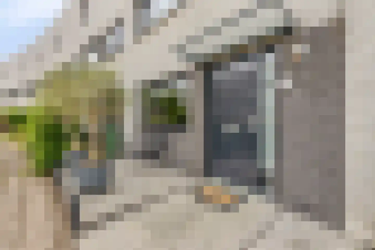 Aburahout 49 Zoetermeer thumbnail 6