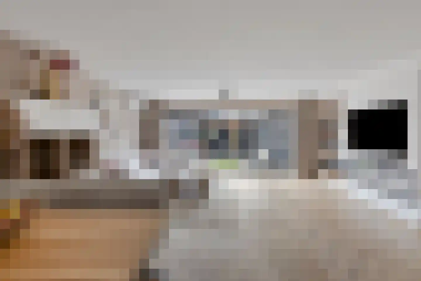 Aburahout 49 Zoetermeer thumbnail 8