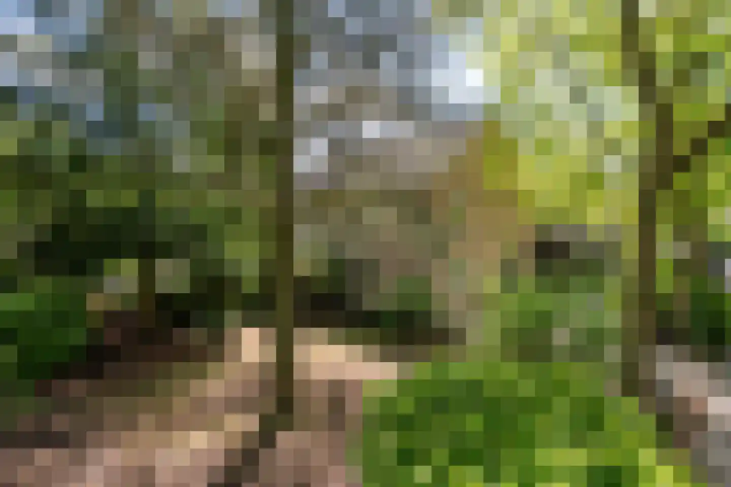Acacia 1 Helmond thumbnail 10