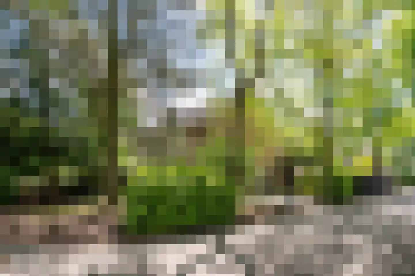 Acacia 1 Helmond thumbnail 11