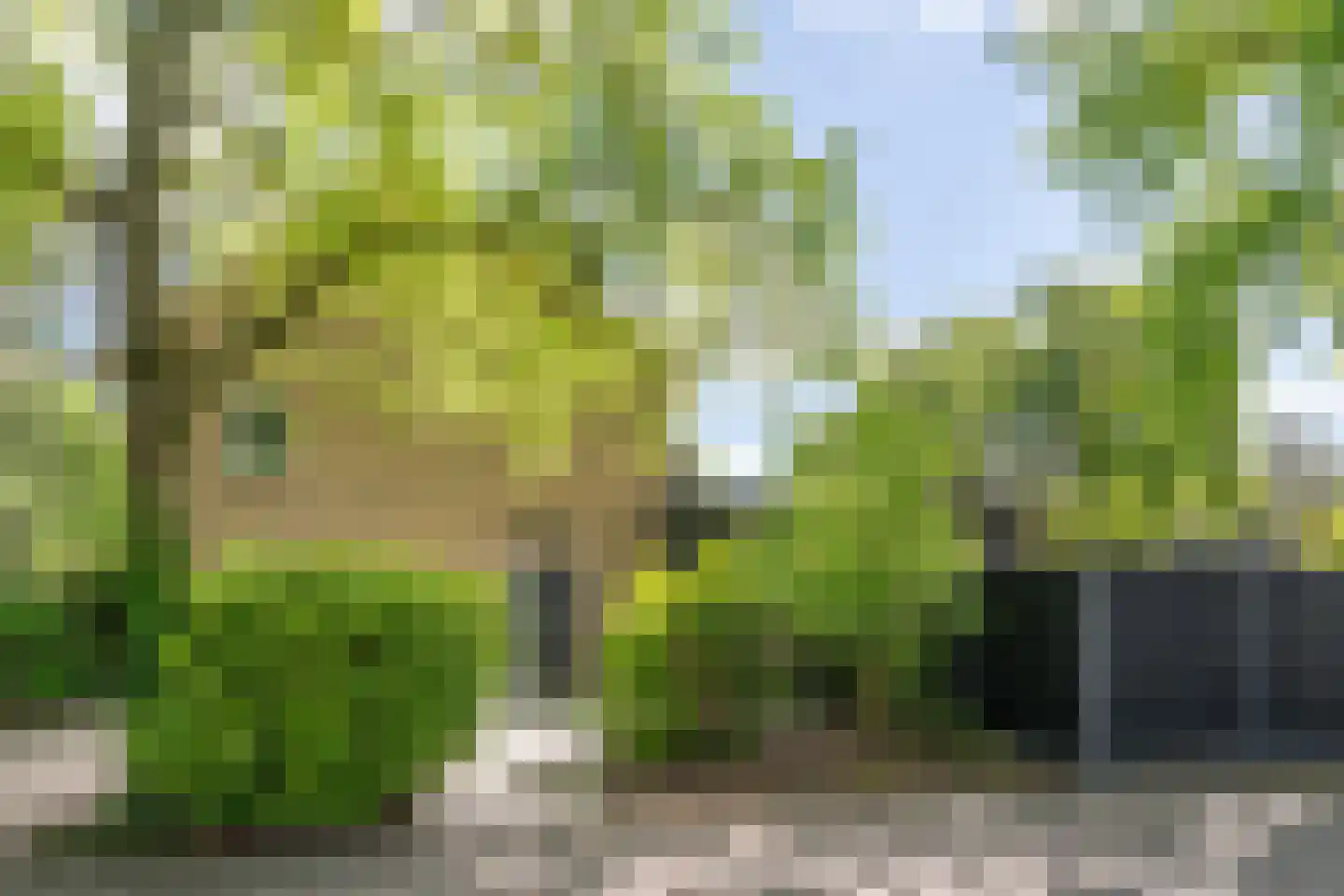 Acacia 1 Helmond thumbnail 12