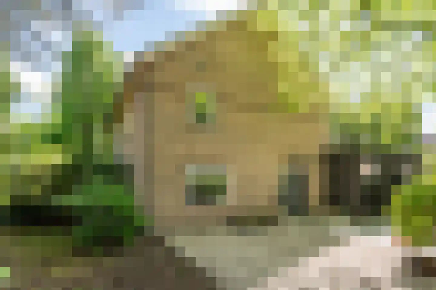 Acacia 1 Helmond thumbnail 14