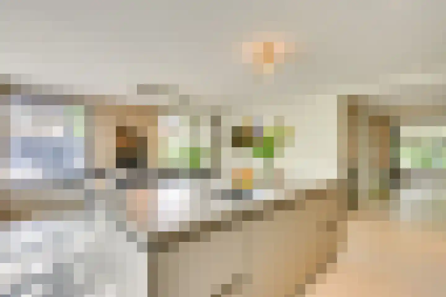 Acacia 1 Helmond thumbnail 4