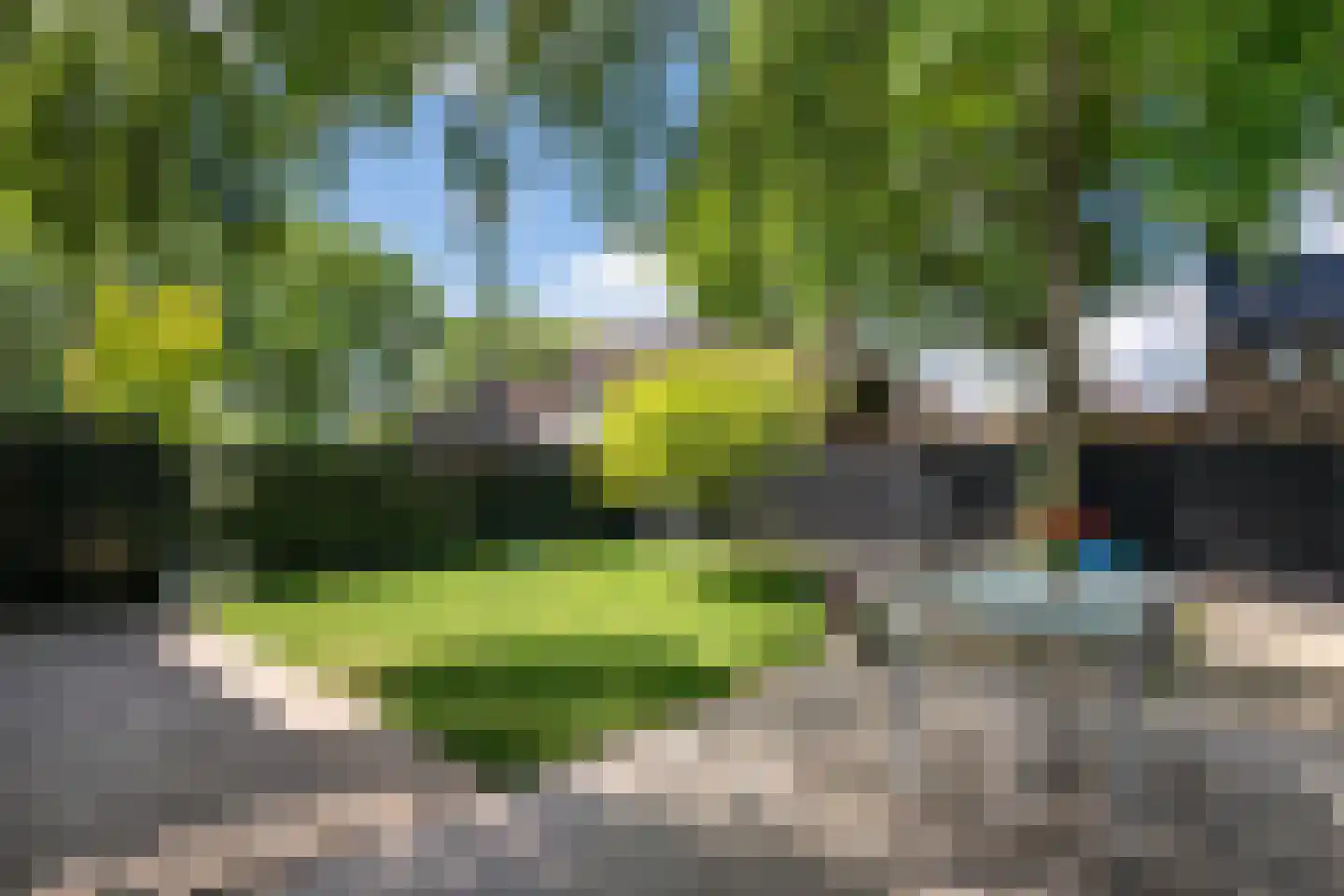 Acacia 1 Helmond thumbnail 49