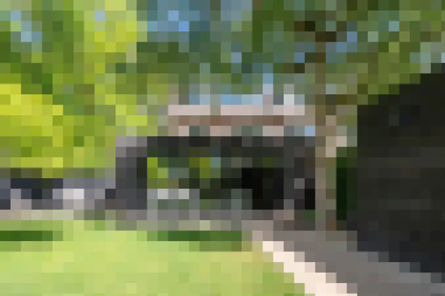 Acacia 1 Helmond thumbnail 50