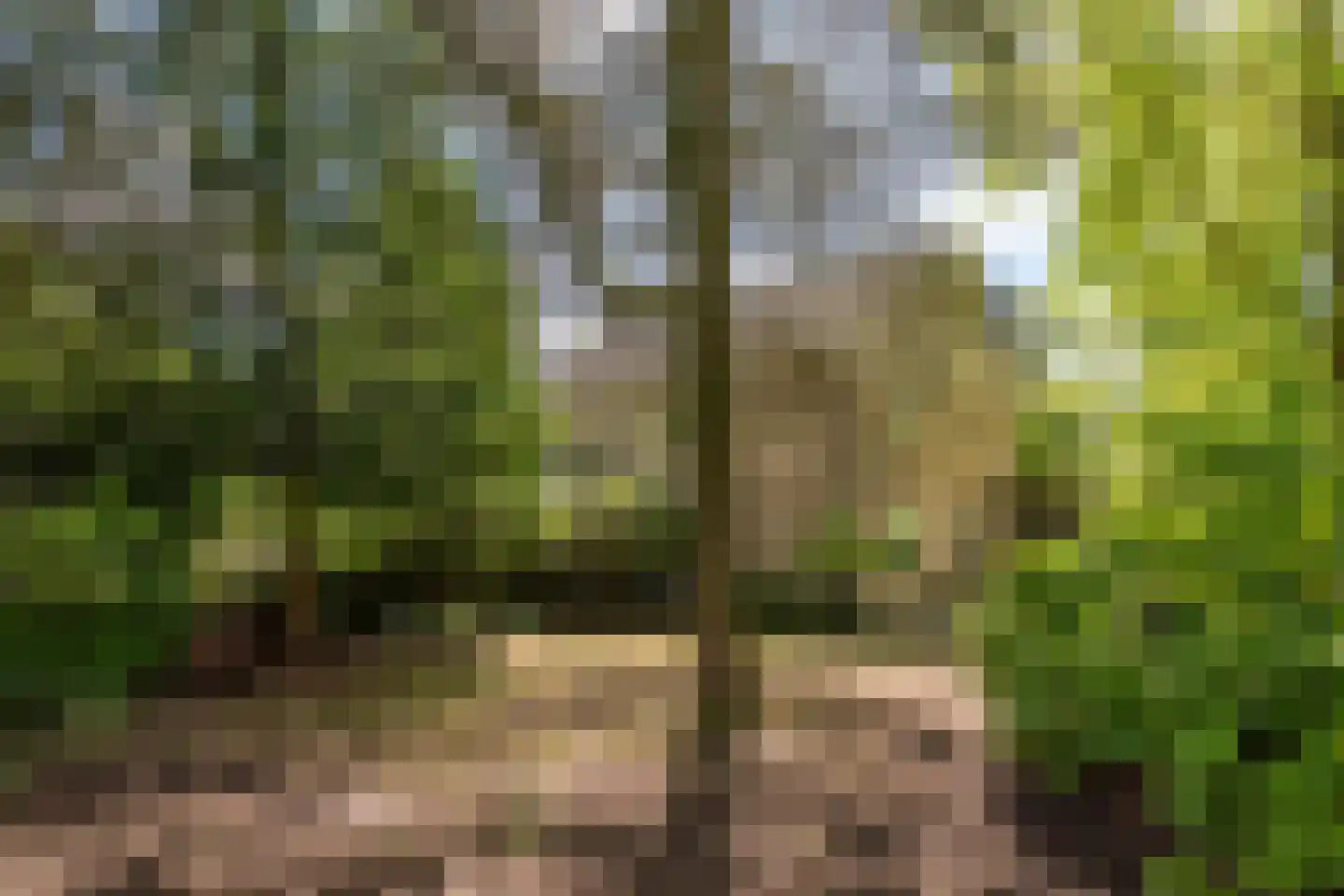 Acacia 1 Helmond thumbnail 8