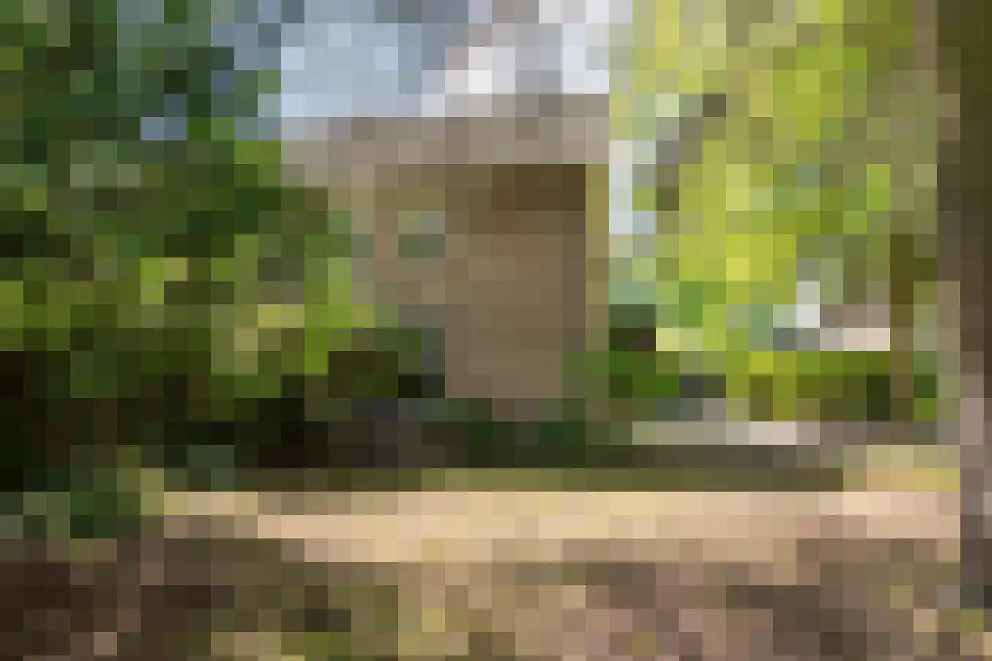 Acacia 1 Helmond thumbnail 9