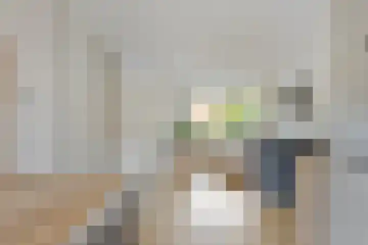Acacia 11 Heino thumbnail 11