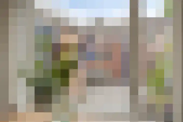 Acacia 11 Heino thumbnail 12