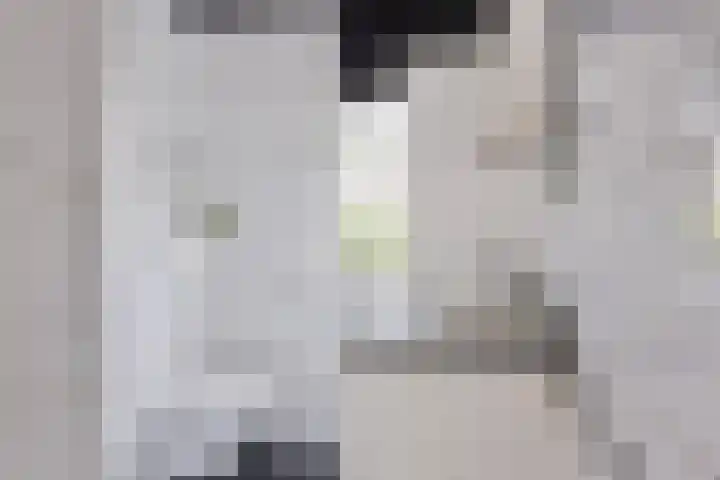 Acacia 11 Heino thumbnail 20