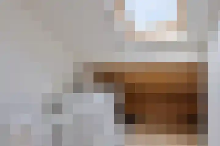 Acacia 11 Heino thumbnail 24