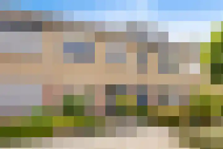 Acacia 11 Heino thumbnail 34