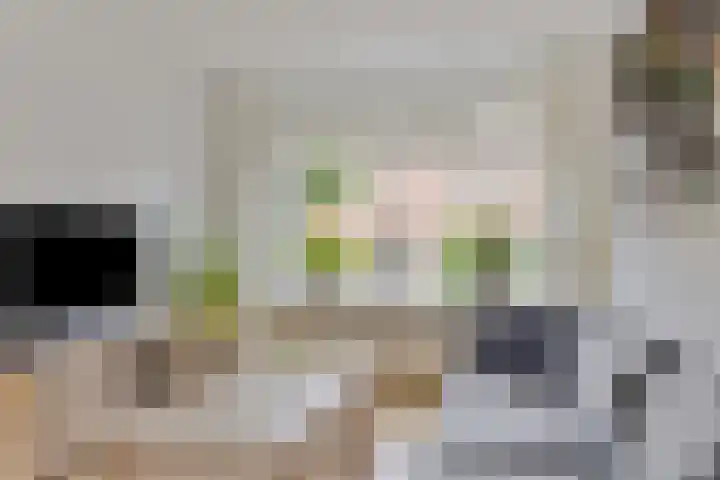 Acacia 11 Heino thumbnail 9