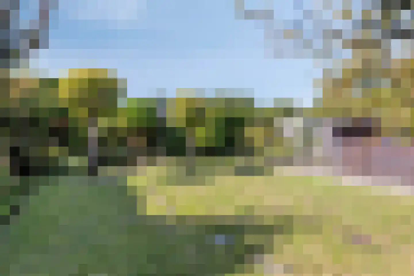 Acacia 16 Helmond thumbnail 37