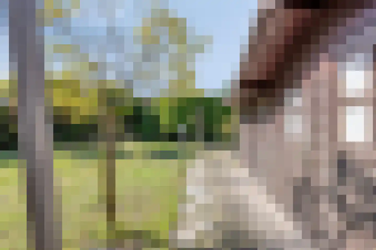 Acacia 16 Helmond thumbnail 38