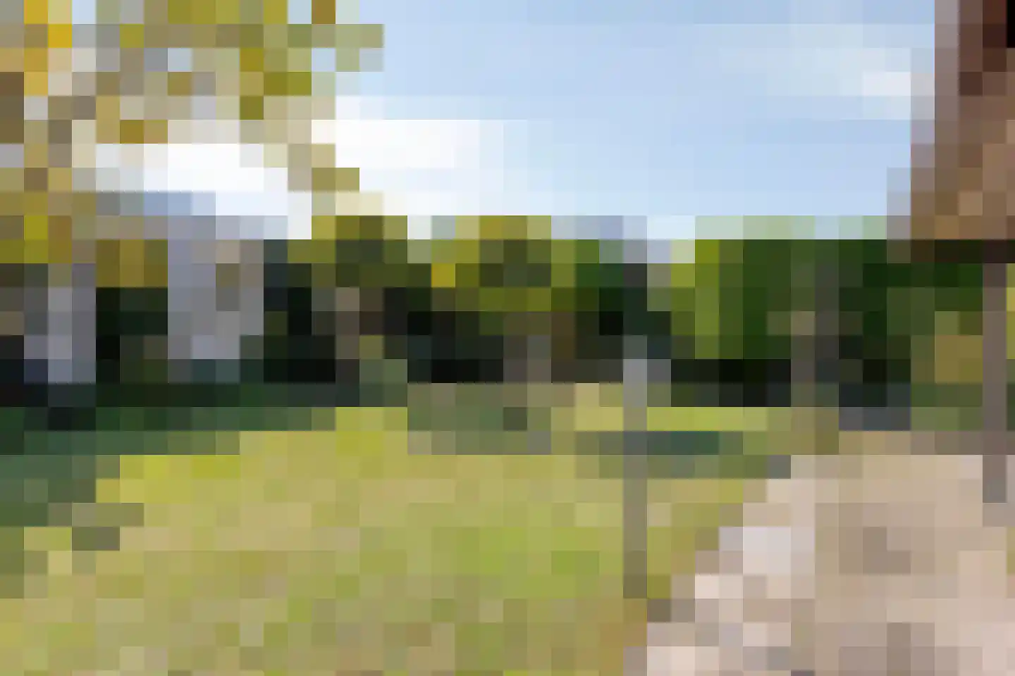 Acacia 16 Helmond thumbnail 39