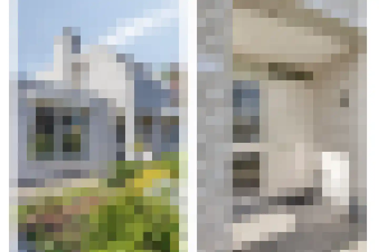 Acacia 16 Helmond thumbnail 4