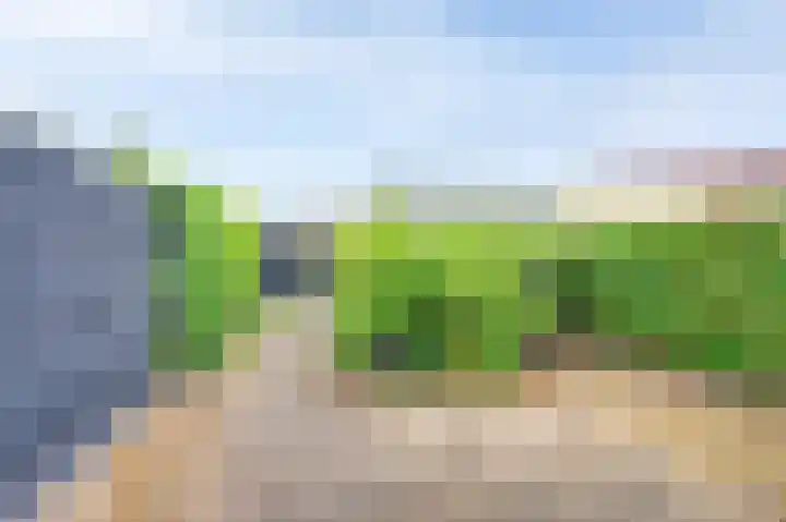 Acacia 18 Dirksland thumbnail 17