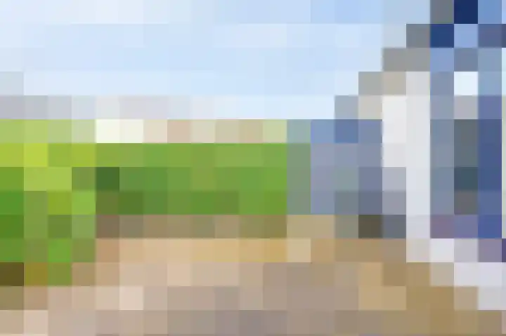 Acacia 18 Dirksland thumbnail 18