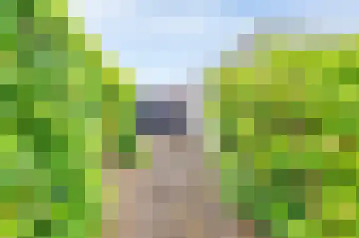 Acacia 18 Dirksland thumbnail 19
