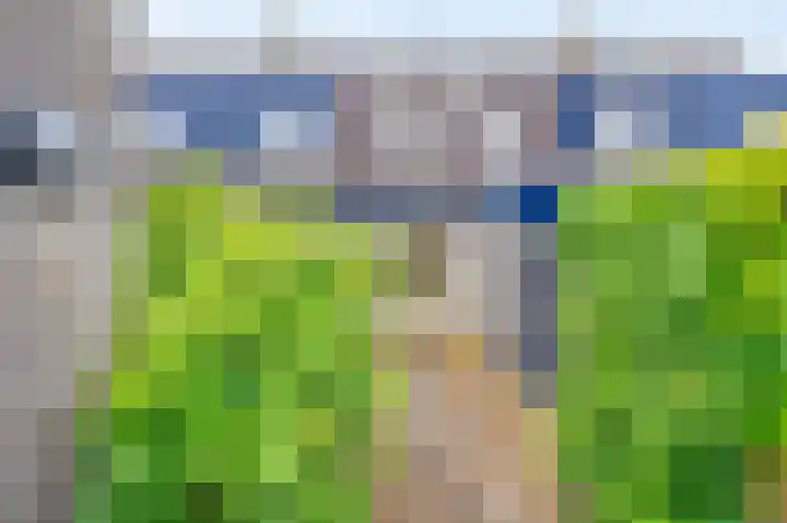 Acacia 18 Dirksland thumbnail 21